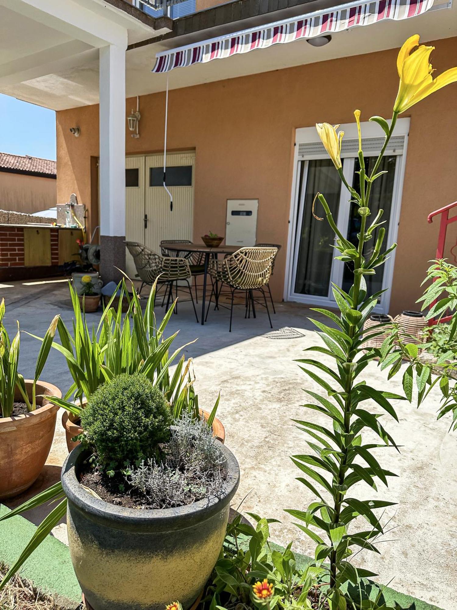 Apartments Dent Umag Ngoại thất bức ảnh